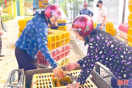 Đồng Tiến hỗ trợ sinh kế, tạo động lực giảm nghèo bền vững