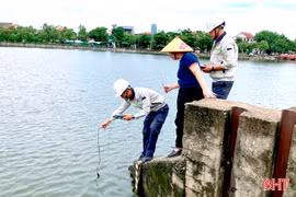Cá chết ở hồ Bồng Sơn: Chưa ghi nhận bệnh truyền nhiễm nguy hiểm