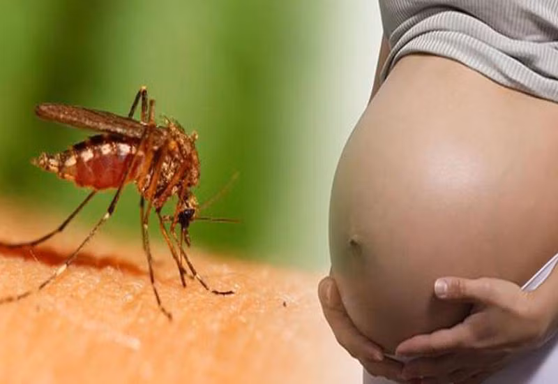 Sốt xuất huyết tăng 97%, chuyên gia khuyến cáo những dấu hiệu cần đưa người bệnh đến cơ sở y tế sớm