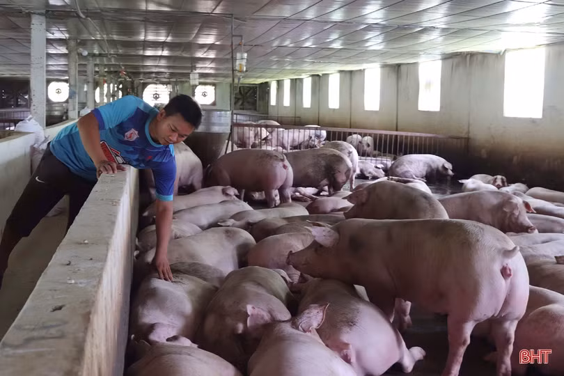 “Bà đỡ” giúp nông dân Vũ Quang xây dựng hơn 2.000 mô hình kinh tế