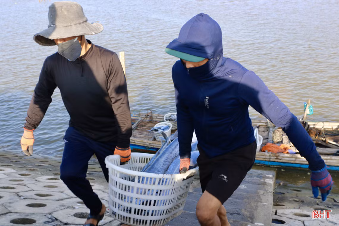 Mùa biển động, ngư dân Cẩm Xuyên vẫn “trúng” nhiều hải sản giá trị