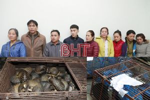 Bộ Công an phá vụ nuôi nhốt, buôn bán tê tê cực lớn ở Hà Tĩnh