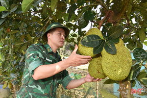 Lính biên phòng Hà Tĩnh tăng gia hiệu quả