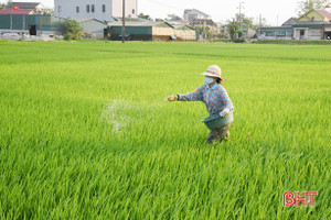 Siêng thăm đồng, kịp thời ngăn ngừa các loại bệnh hại cây trồng ở Lộc Hà