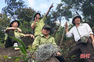 Phát hiện hơn 300 bẫy thú rừng trên núi Hồng Lĩnh
