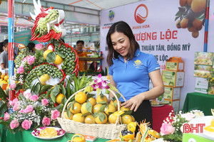 Nâng tầm sản phẩm OCOP Hà Tĩnh