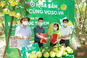 Chính thức tiêu thụ bưởi Phúc Trạch qua Sàn Thương mại điện tử Voso.vn