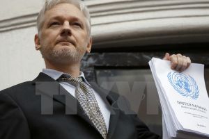 Wikileaks "bóc mẽ" âm mưu của giới chức Mỹ nhằm vào ông Donald Trump