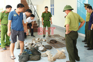 Xử phạt hành chính hơn 1,6 tỷ đồng vi phạm pháp luật về tài nguyên môi trường, vệ sinh thực phẩm