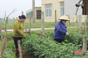 Xã đầu tiên ở Hà Tĩnh lắp camera giám sát quy trình sản xuất rau an toàn