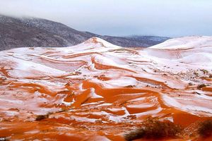 Lần thứ 2 trong lịch sử, sa mạc Sahara có tuyết rơi!