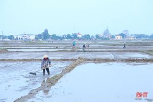 Nông dân Hà Tĩnh bắt đầu vào vụ gieo cấy lúa xuân