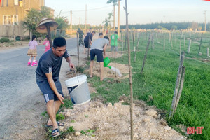 Hà Tĩnh tiếp tục đôn đốc thực hiện đề án trồng một tỷ cây xanh