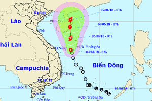 Nhanh chóng thu hoạch lúa xuân, đề phòng áp thấp nhiệt đới gây mưa lớn