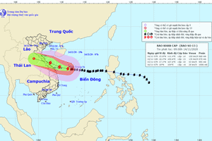 Tối nay, bão số 13 vào vùng biển Hà Tĩnh - Quảng Ngãi, gió giật cấp 15