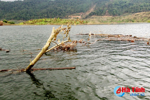 Ô nhiễm nguồn nước hồ Ngàn Trươi: Cần sớm kiểm tra, xử lý