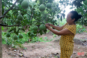 Nhiều cách làm giúp phụ nữ Can Lộc thoát nghèo, vươn lên khấm khá