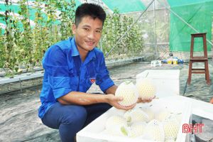 Mô hình nhà màng công nghệ cao ở Hà Tĩnh cho thu nhập hàng trăm triệu đồng