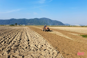 Hà Tĩnh bắt đầu vào vụ gieo trỉa lạc, ngô vụ xuân