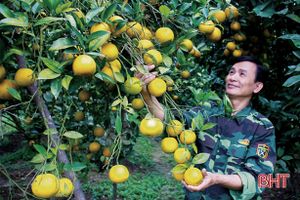 Hà Tĩnh cần ban hành nghị quyết mới về khuyến khích phát triển nông nghiệp