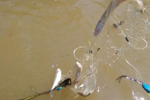 Thêm 1 người ở Hương Sơn tử vong do đánh bắt cá trong mưa lũ