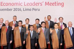 Việt Nam sẽ trở thành mắt xích quan trọng trong mạng lưới APEC