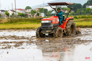 Nông dân Hà Tĩnh chạy đua với lịch gieo cấy hè thu