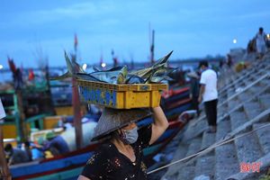 Đảm bảo phòng dịch, cảng cá lớn nhất Hà Tĩnh vẫn đón những chuyến tàu cập bến