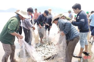 Các tổ lưới rùng của ngư dân Thịnh Lộc vào mùa khai thác hải sản