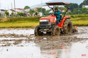 Sản xuất hè thu “chạy đua” với thời vụ