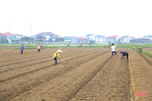 Nông dân Hà Tĩnh tập trung gieo trồng, “khép” thời vụ cây trồng cạn vụ xuân