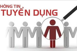 TP Hà Tĩnh tuyển 03 công chức