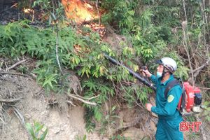 Vì sao tình trạng đốt thực bì để trồng rừng còn diễn ra nhiều nơi ở Vũ Quang?