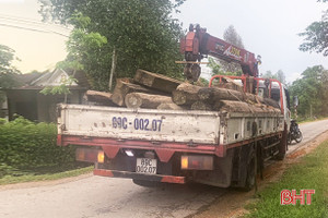 Tạm giữ xe tải vận chuyển lượng lớn gỗ không rõ nguồn gốc ở Hương Khê