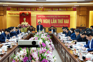 Ban Chấp hành Đảng bộ Hà Tĩnh cho ý kiến về các chỉ tiêu năm 2021