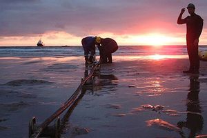 Lùi thời gian bảo trì tuyến cáp quang biển quốc tế Liên Á đến ngày 24/3