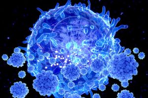 Tế bào T ‘sát thủ’ - hy vọng trong cuộc chiến với biến thể mới của SARS-CoV-2