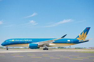 Vietnam Airlines nhận vận chuyển đào, mai trong dịp Tết Canh Tý 2020