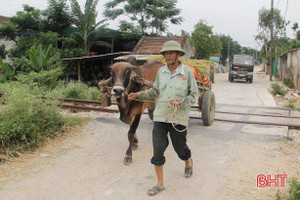 Ẩn họa TNGT đường sắt qua địa bàn Hà Tĩnh