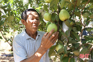 “Vườn mẫu là cuốn sổ hưu của vợ chồng chúng tôi”