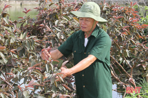 Người thương binh biến đồng hoang thành trang trại tiền tỷ