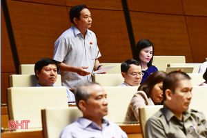Đoàn Đại biểu Quốc hội tỉnh Hà Tĩnh góp ý dự án Luật Bảo vệ môi trường