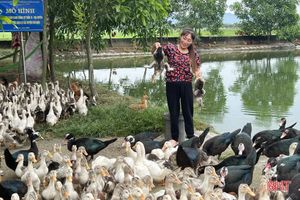Nông dân Hà Tĩnh thử nghiệm nhiều loại vật nuôi mới