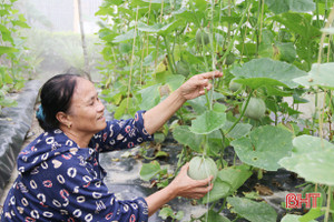 TP Hà Tĩnh nỗ lực để..."không có ai bị bỏ lại phía sau"