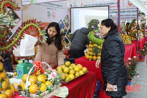 Nhiều cơ sở “bội thu” nhờ Lễ hội Cam và các sản phẩm nông nghiệp Hà Tĩnh
