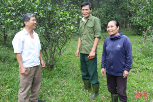 Cặp vợ chồng gây dựng kinh tế nơi “thâm sơn cùng cốc”