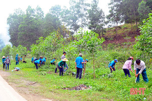 MTTQ Hương Sơn phấn đấu làm hơn 38km đường GTNT trong 3 tháng