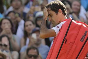 Federer bỏ Rogers Cup, Murray nhận vé đặc cách