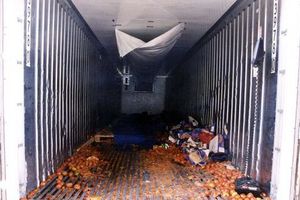 Hà Lan bắt giữ 25 người trốn sang Anh trong container đông lạnh​