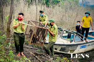 Những người giúp động vật hòa nhập với thiên nhiên ở Hà Tĩnh